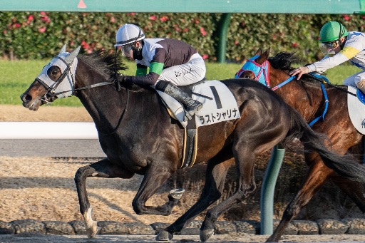 斎藤　美幹